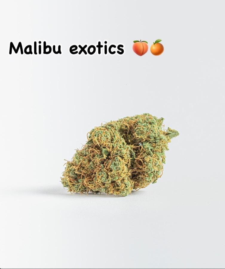 Malibu - 6g