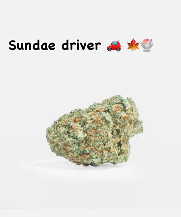 Sundae - 12g